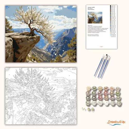 Szellős sziklapárkány - számfestő készlet - Számfestő.hu - 60×70cm - Keretre feszítve