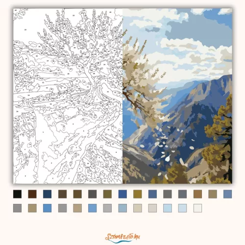 Szellős sziklapárkány - számfestő készlet - Számfestő.hu - 60×70cm - Keretre feszítve