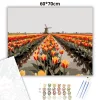 Eső utáni tulipánmező - számfestő készlet - Számfestő.hu - 60×70cm - Keret nélkül