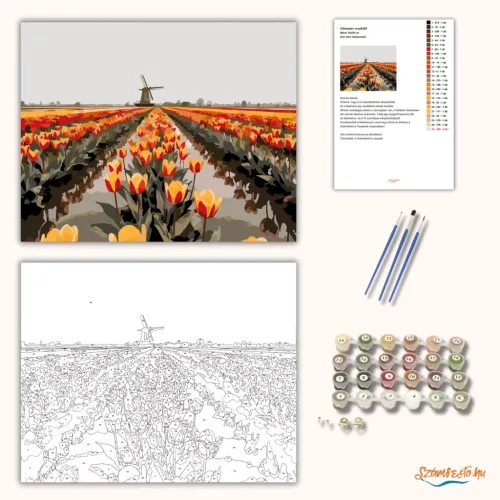 Eső utáni tulipánmező - számfestő készlet - Számfestő.hu - 80×100cm - Keretre feszítve