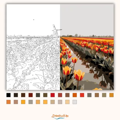 Eső utáni tulipánmező - számfestő készlet - Számfestő.hu - 40×50cm - Keret nélkül