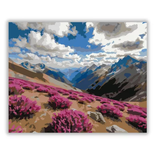 Szeles hegyoldali kilátás - számfestő készlet - Számfestő.hu - 50×60cm - Keretre feszítve