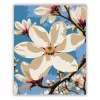 Tavaszi magnóliaág - számfestő készlet - Számfestő.hu - 60×70cm - Keretre feszítve