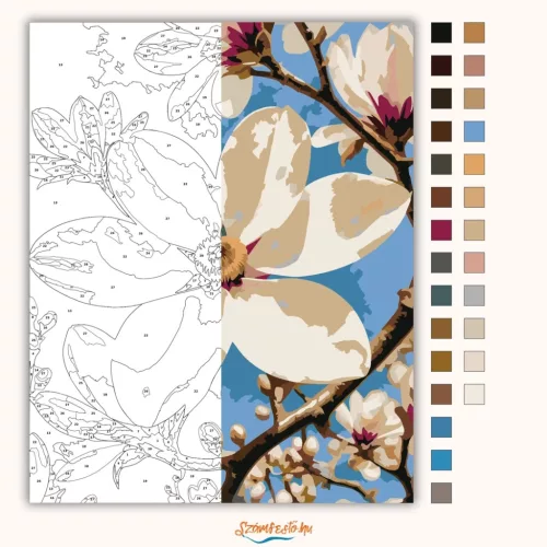 Tavaszi magnóliaág - számfestő készlet - Számfestő.hu - 40×50cm - Keret nélkül