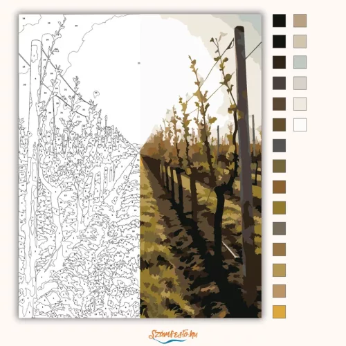 Derűs szőlőültetvény - számfestő készlet - Számfestő.hu - 60×70cm - Keret nélkül