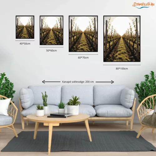 Derűs szőlőültetvény - számfestő készlet - Számfestő.hu - 80×100cm - Keretre feszítve