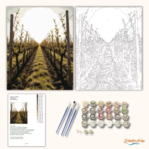 Derűs szőlőültetvény - számfestő készlet - Számfestő.hu - 40×50cm - Keret nélkül