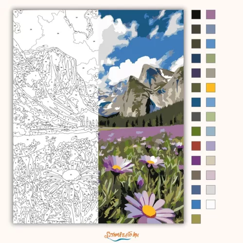 Tágas margarétás völgy - számfestő készlet - Számfestő.hu - 50×60cm - Keret nélkül