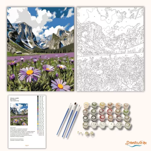 Tágas margarétás völgy - számfestő készlet - Számfestő.hu - 60×70cm - Keret nélkül