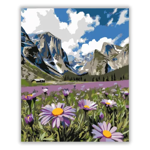 Tágas margarétás völgy - számfestő készlet - Számfestő.hu - 60×70cm - Keret nélkül
