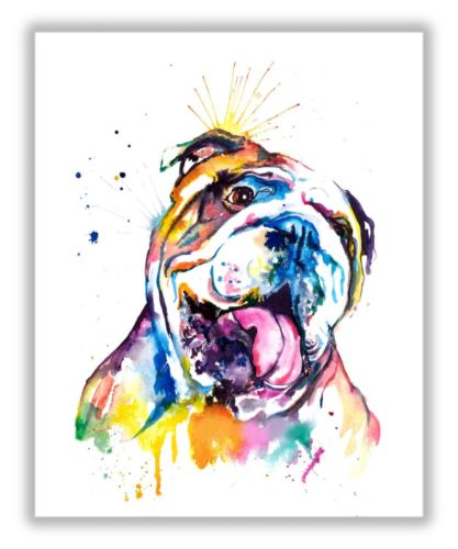 Bulldog - számfestő készlet
