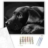 Fekete Labrador - számfestő készlet - Számfestő.hu - 50×60cm - keret nélkül
