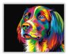 Gyönyörű Kutya - számfestő készlet