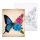Virágos pillangó - előrerajzolt élményfestő készlet (30x40cm)