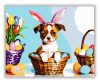 Márpedig Nyusz Vagyok - húsvéti számfestő készlet