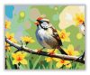 Madárka az Ágon - húsvéti számfestő készlet
