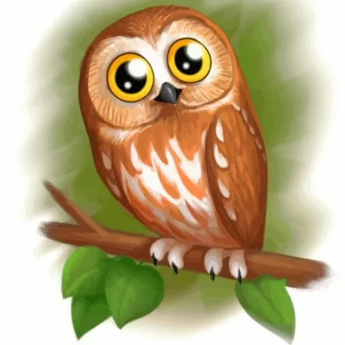 Aranyos Bagoly - gyerek számfestő készlet - Számfestő.hu - 50×50cm - keret nélkül