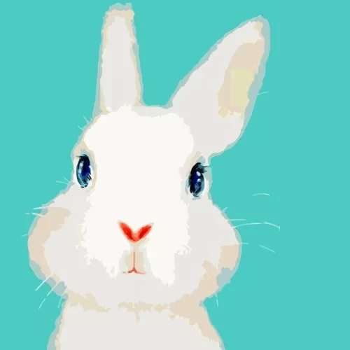 Fehér nyuszi - gyerek számfestő készlet - Számfestő.hu - 40×40cm - keret nélkül