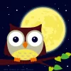 Éjjeli Bagoly - gyerek számfestő készlet - Számfestő.hu - 20×20cm - keret nélkül