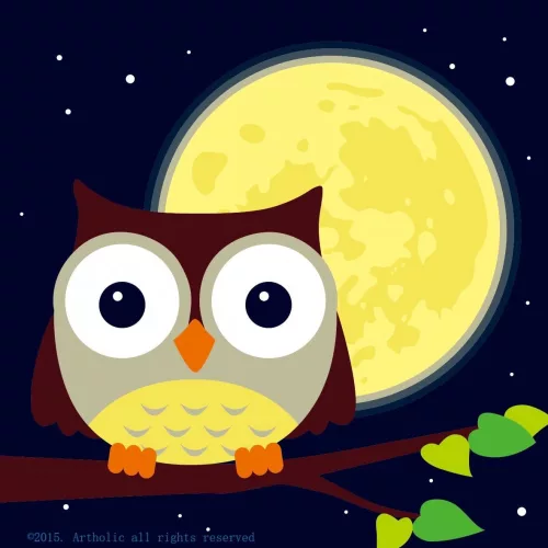 Éjjeli Bagoly - gyerek számfestő készlet - Számfestő.hu - 20×20cm - keret nélkül