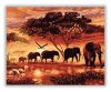 Elefánt Vándorlás - számfestő készlet