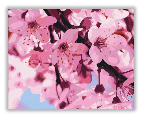 Cseresznyevirág - számfestő készlet