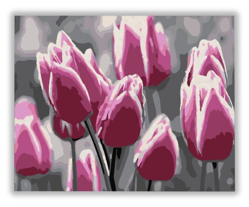 Rózsaszín Tulipánok - számfestő készlet