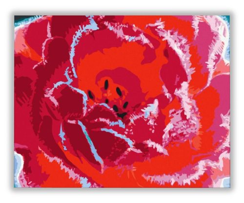 Piros Virág - számfestő készlet