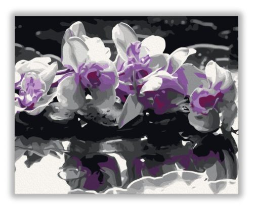 Lila Orchidea - számfestő készlet