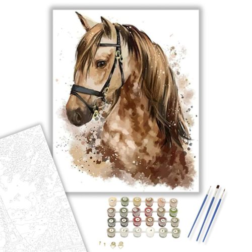 Csodálatos Ló - számfestő készlet - Számfestő.hu - 40×50cm - keretre feszítve