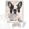 Fekete Fehér Bulldog - számfestő készlet - Számfestő.hu - 60×70cm - keretre feszítve