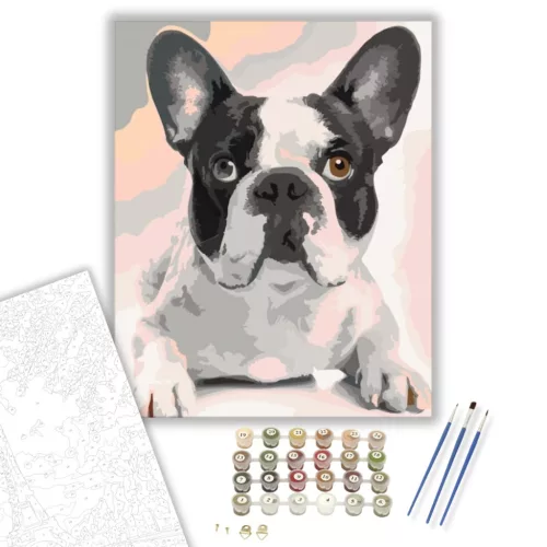 Fekete Fehér Bulldog - számfestő készlet - Számfestő.hu - 60×70cm - keretre feszítve