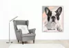Fekete Fehér Bulldog - számfestő készlet - Számfestő.hu - 50×60cm - keretre feszítve