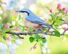 Kék madár a fán - vászonkép