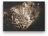 Leopárd sötétben - vászonkép
