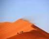 Sivatagi túra - vászonkép