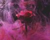 Füstös Rózsa - vászonkép