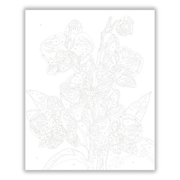 Letisztult orchidea virágzás - számfestő készlet - számfestő készlet