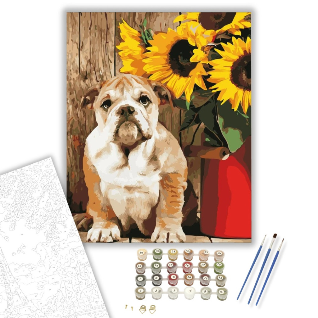 Bulldog - számfestő készlet - számfestő készlet