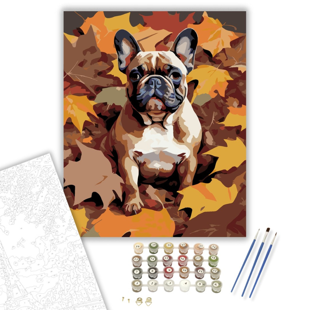 Francia Bulldog Őszi Levelek Között - számfestő készlet - számfestő készlet