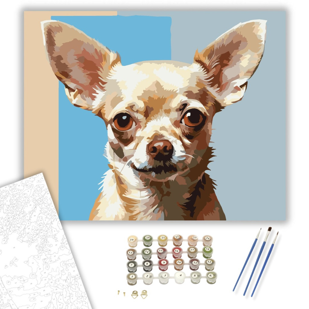 Chihuahua Portré - számfestő készlet - számfestő készlet