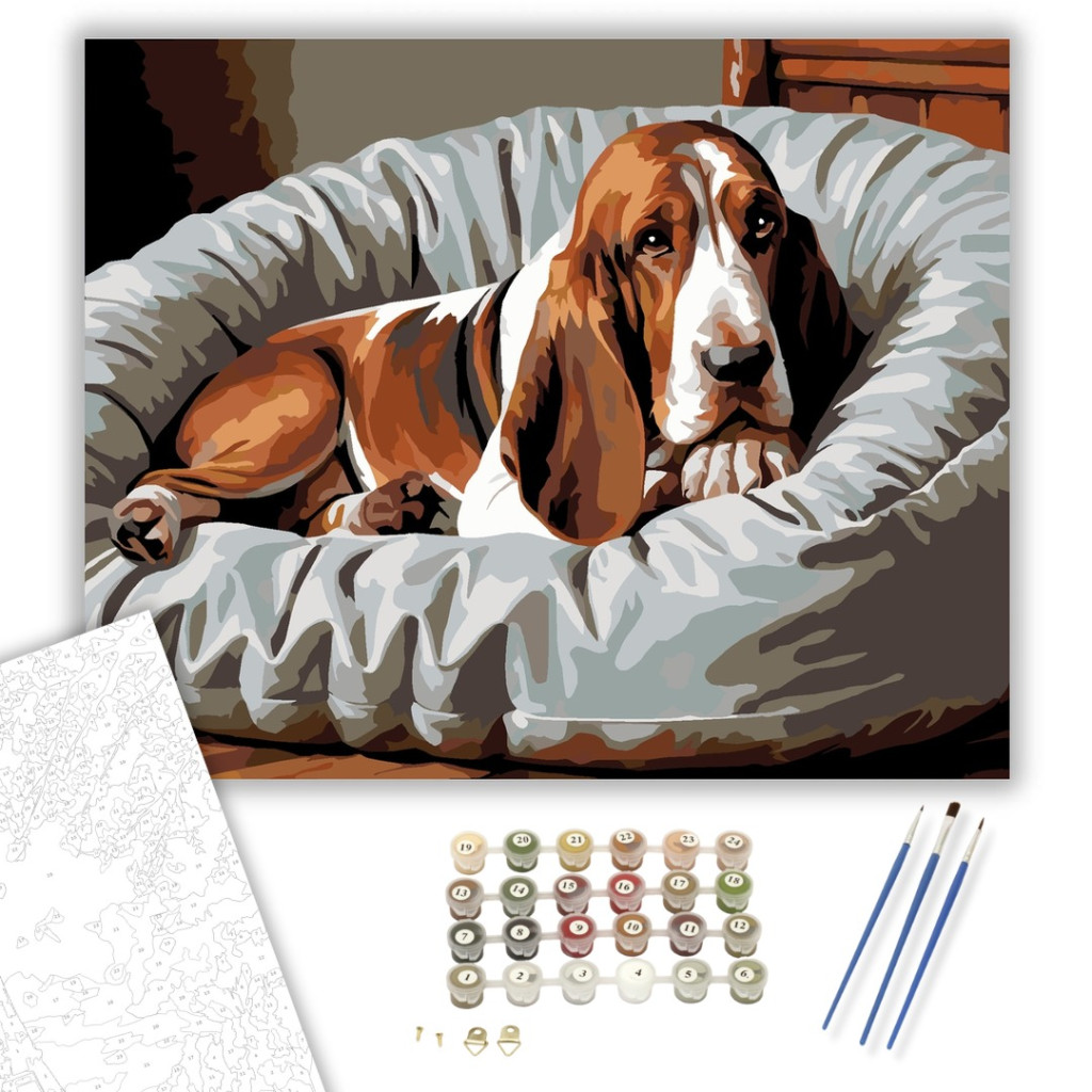 Alvó Basset Hound Kényelmes Ágyon - számfestő készlet - számfestő készlet