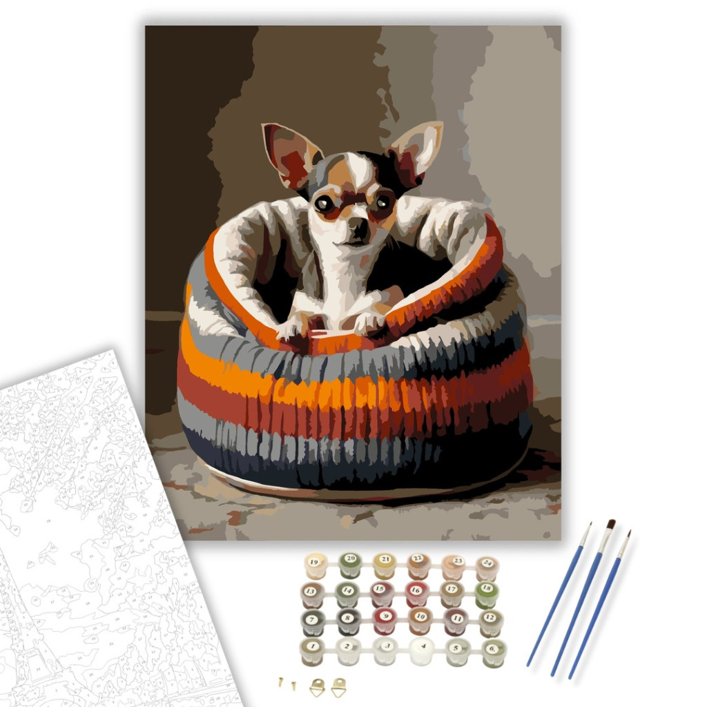Chihuahua Kötött Pulóverben - számfestő készlet - számfestő készlet