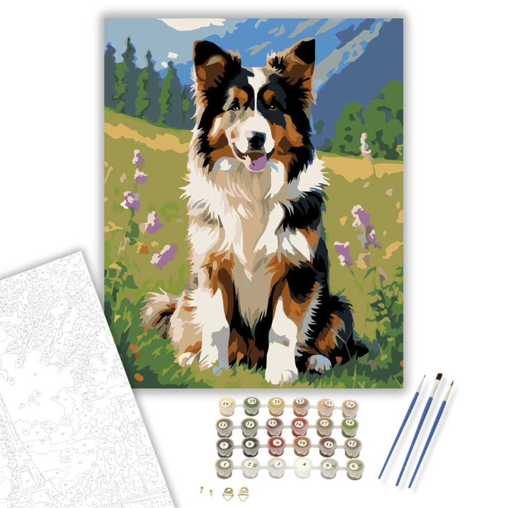 Collie Kiskutya a Vadvirágos Mezőn - számfestő készlet - számfestő készlet