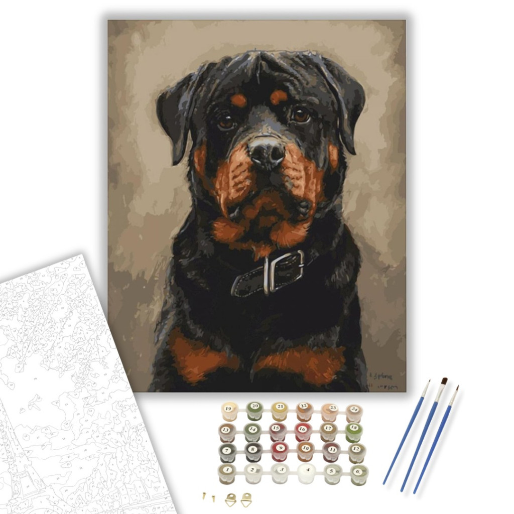 Rottweiler - számfestő készlet - számfestő készlet