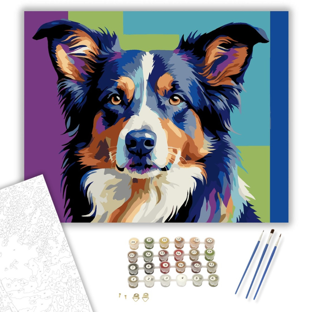 Neon Színű Border Collie - számfestő készlet - számfestő készlet
