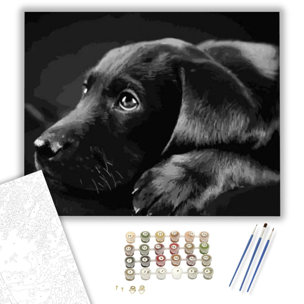 Fekete Labrador - számfestő készlet - számfestő készlet